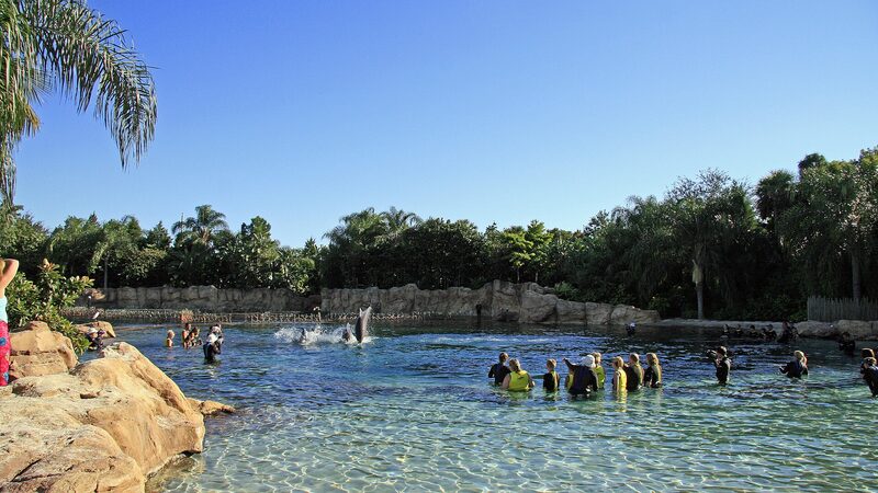 Discovery Cove