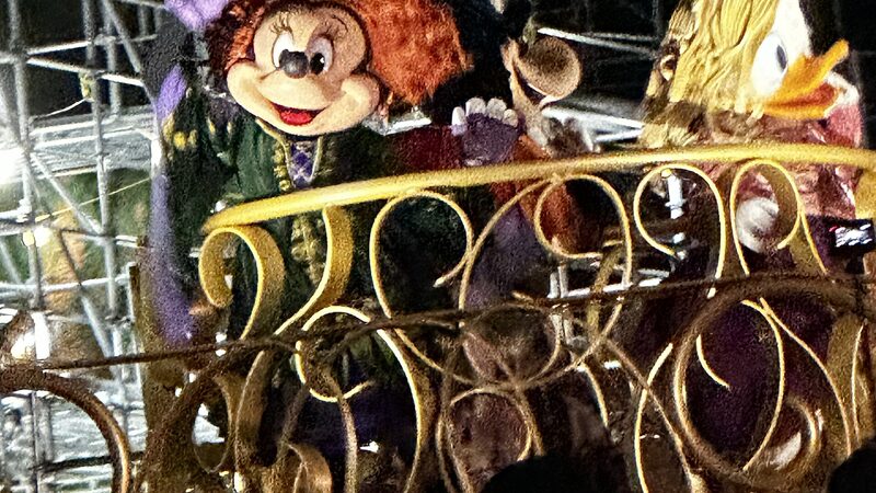 Magic Kingdom Park